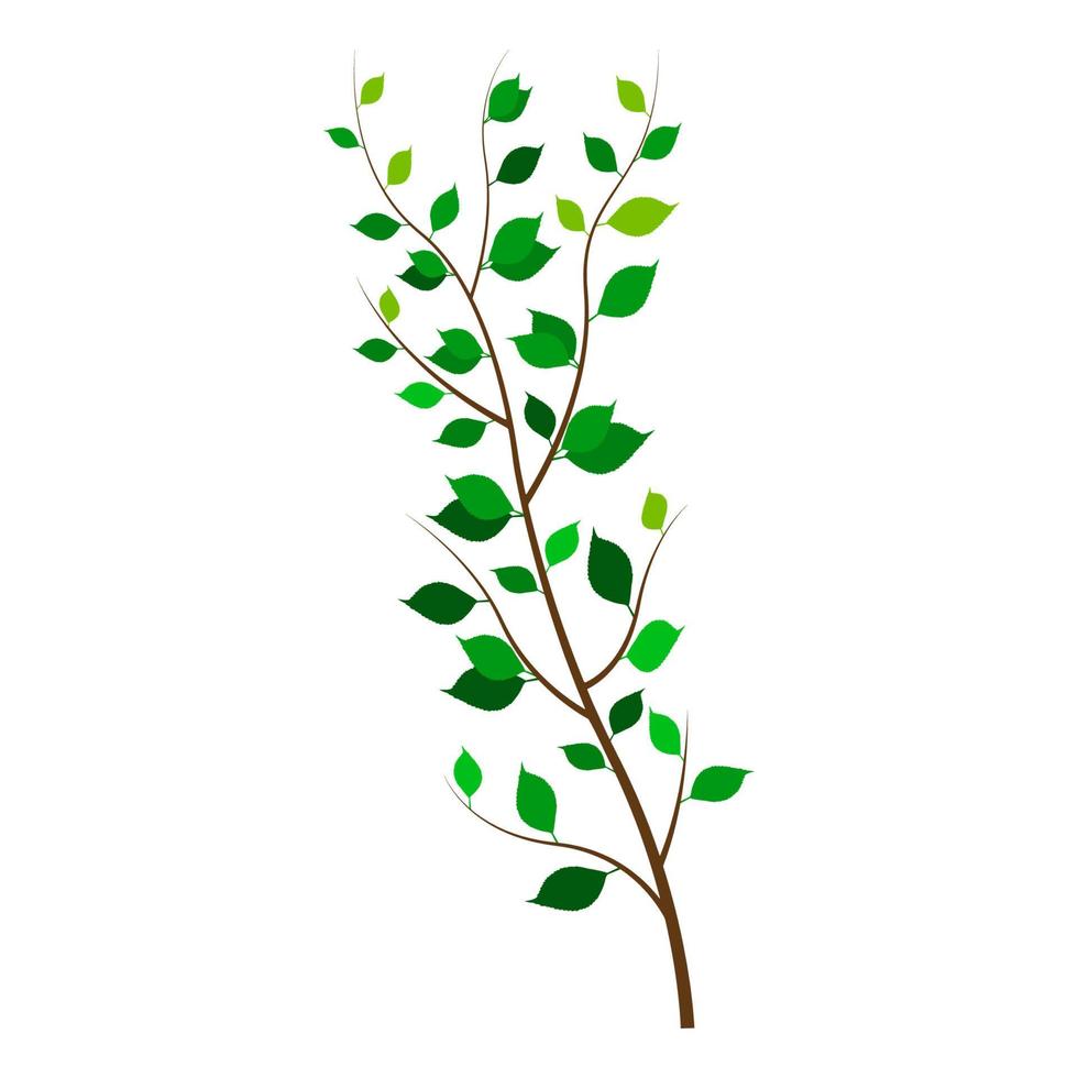 Tree branch with green leaves cartoon vector