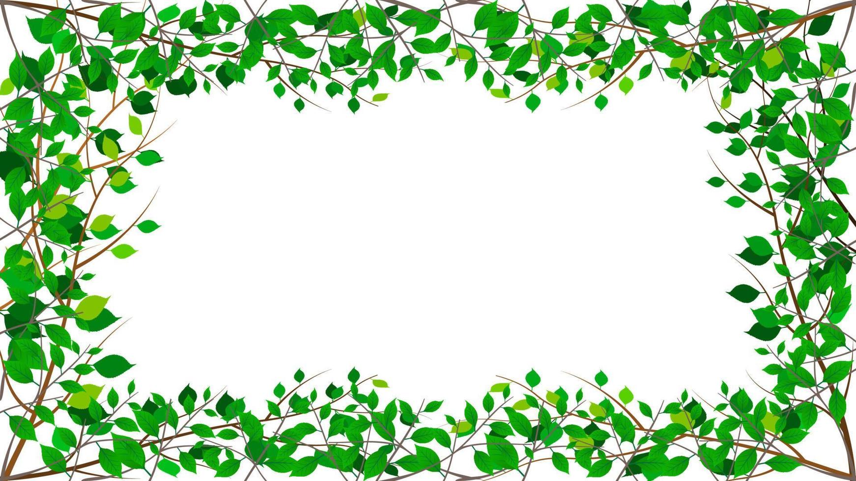 Tree branches with green leaves border frame isolated white background vector