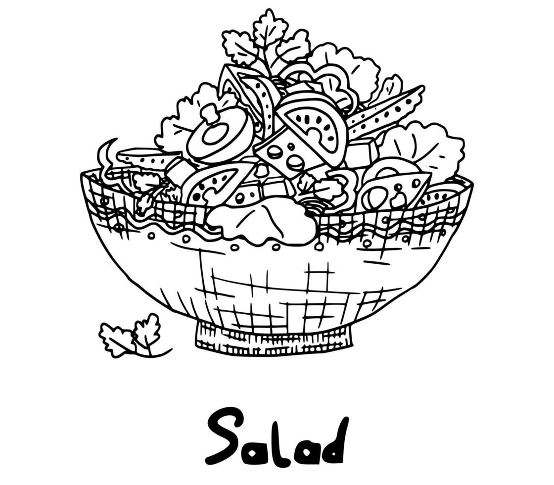 cooking dish salad simple drawing sketch doodle. vector