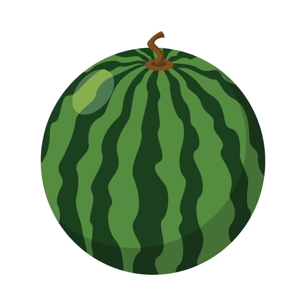 vector de frutas de sandia