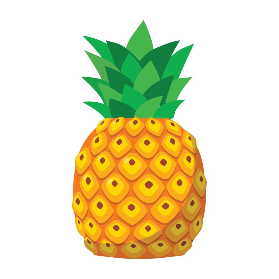 pineapple fruits vector