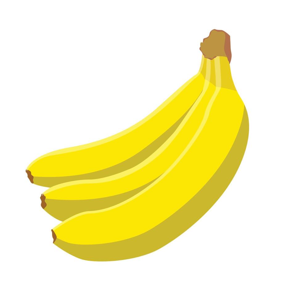 vector de fruta de banano