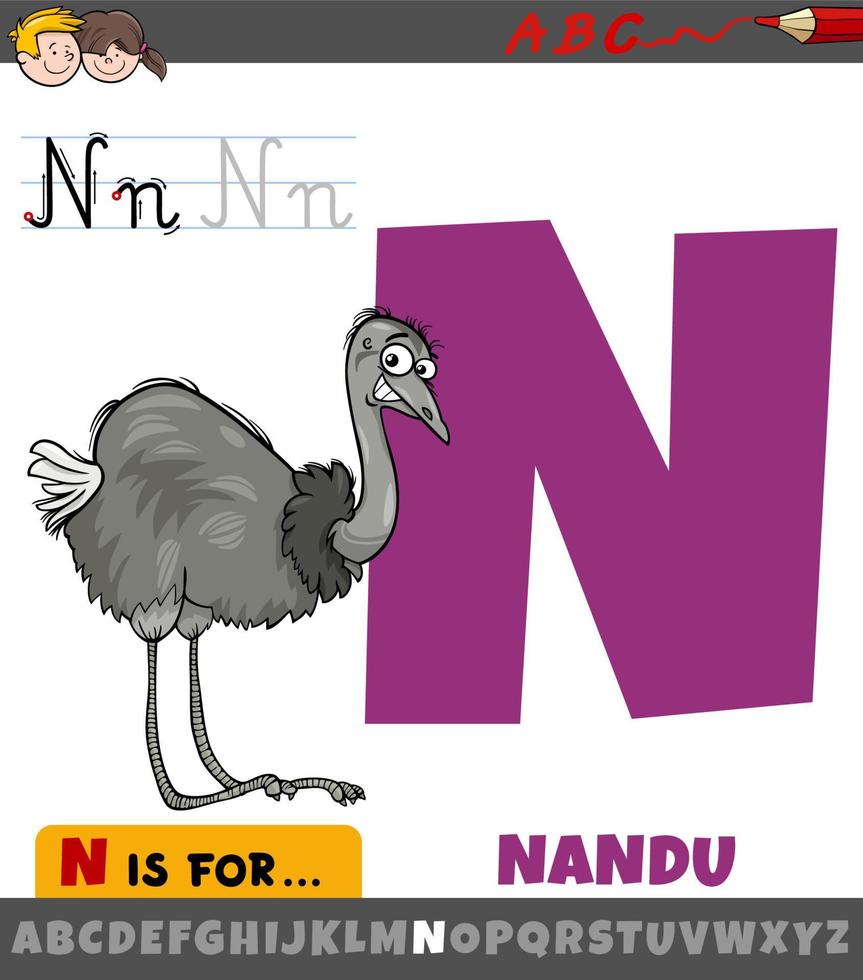 letter N from alphabet with cartoon nandu bird animal character vector