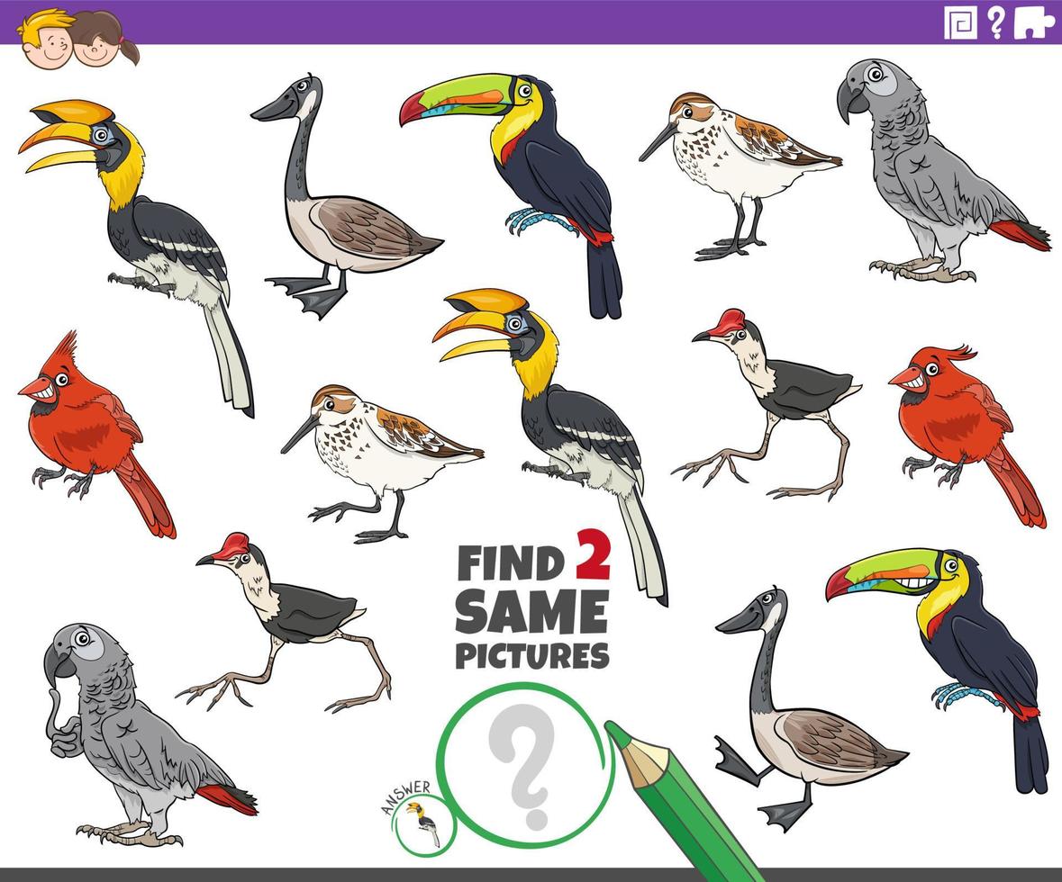 encontrar dos mismos personajes de pájaros de dibujos animados tarea educativa vector
