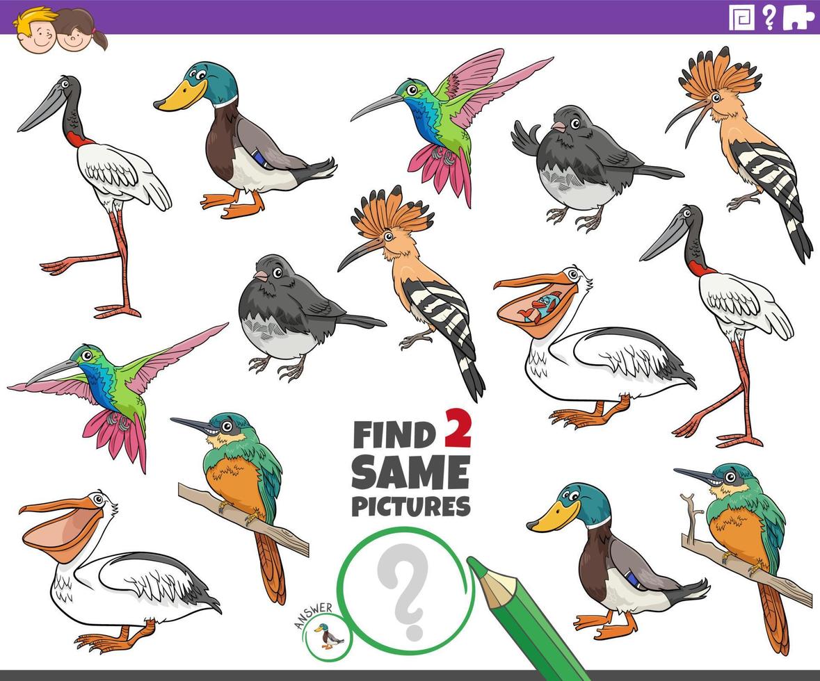 find two same cartoon birds educational task vector