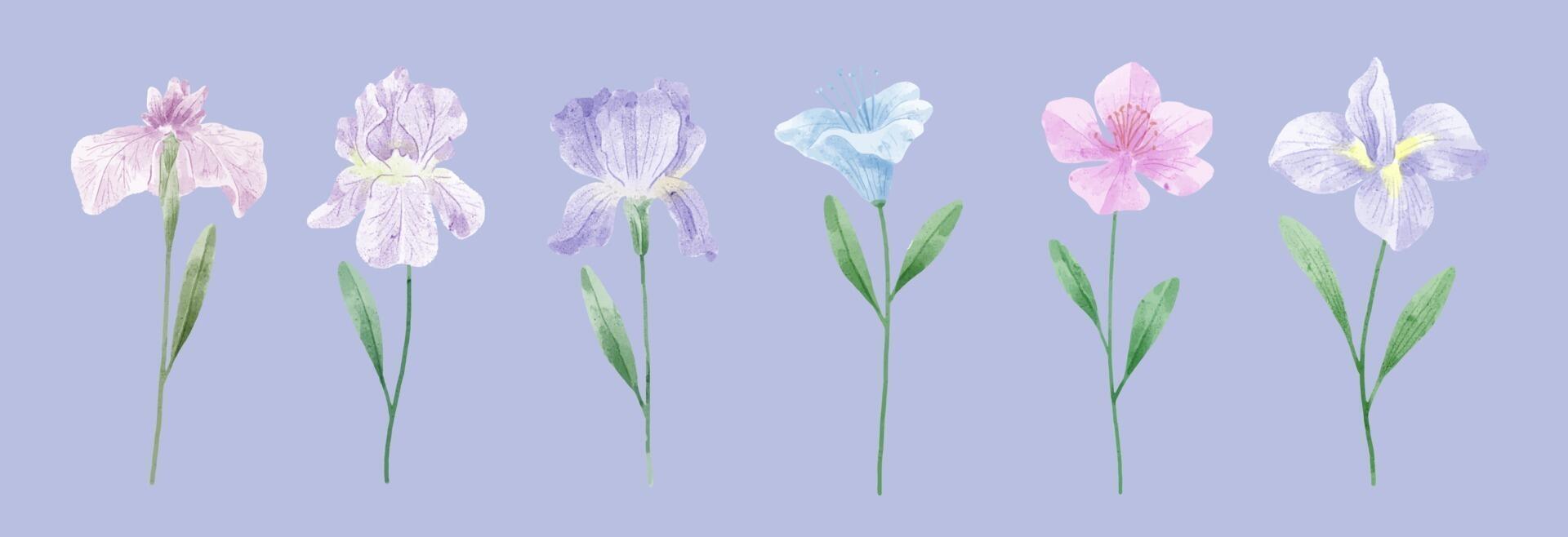 un conjunto de flores pintadas en acuarela para crear un trabajo de diseñador vector