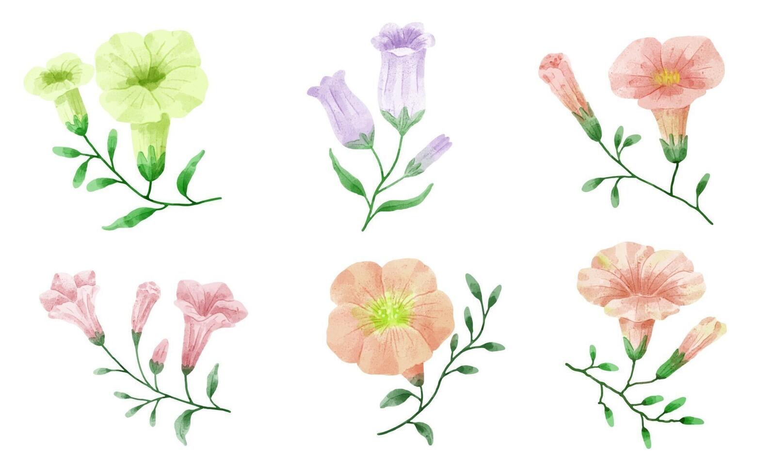 un conjunto de flores pintadas en acuarela para crear un trabajo de diseñador vector