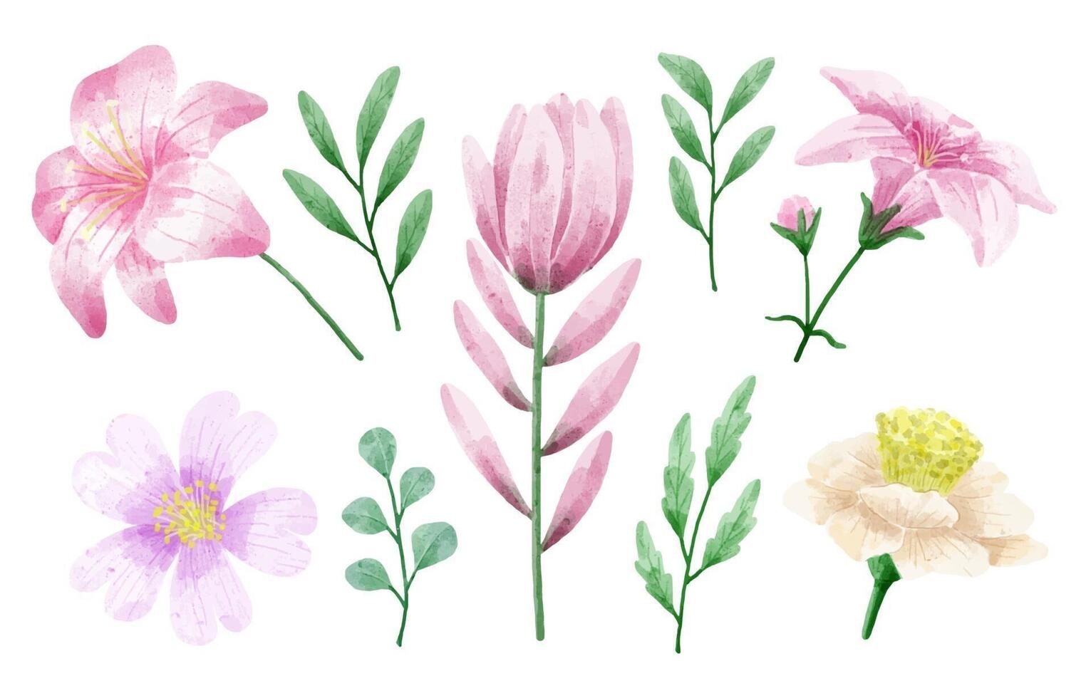 un conjunto de flores pintadas en acuarela para crear un trabajo de diseñador vector