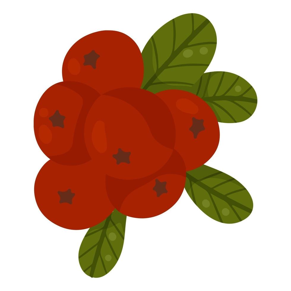 Lingonberry, cranberries, wild berries. Autumn design element. Vector illustration, cartoon style