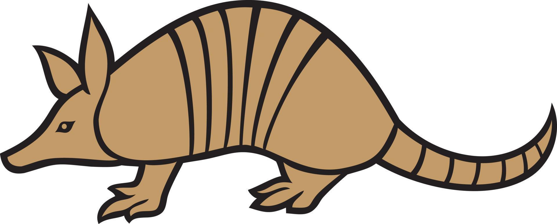 color animal armadillo vector