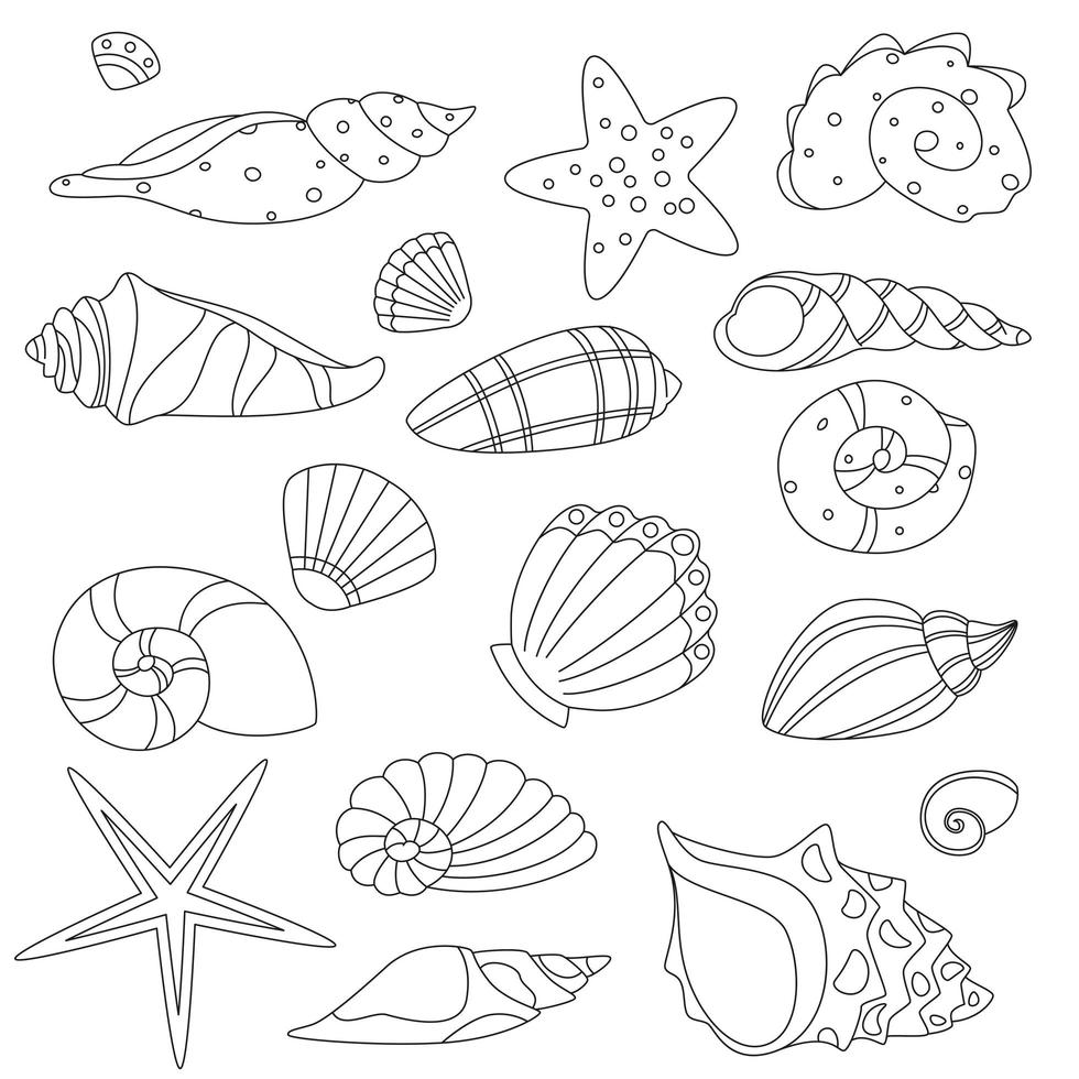 Set Vector Thin Line. Nature Ocean Shell For Shellfish, Aquatic Decorative Seashell Monochrome Contour Illustrations