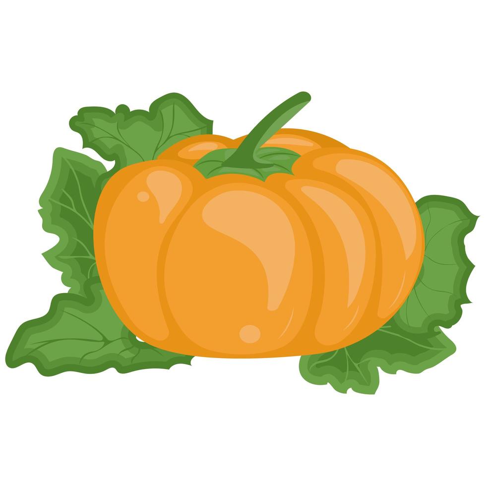 calabaza naranja con hojas verdes. fondo aislado. vector