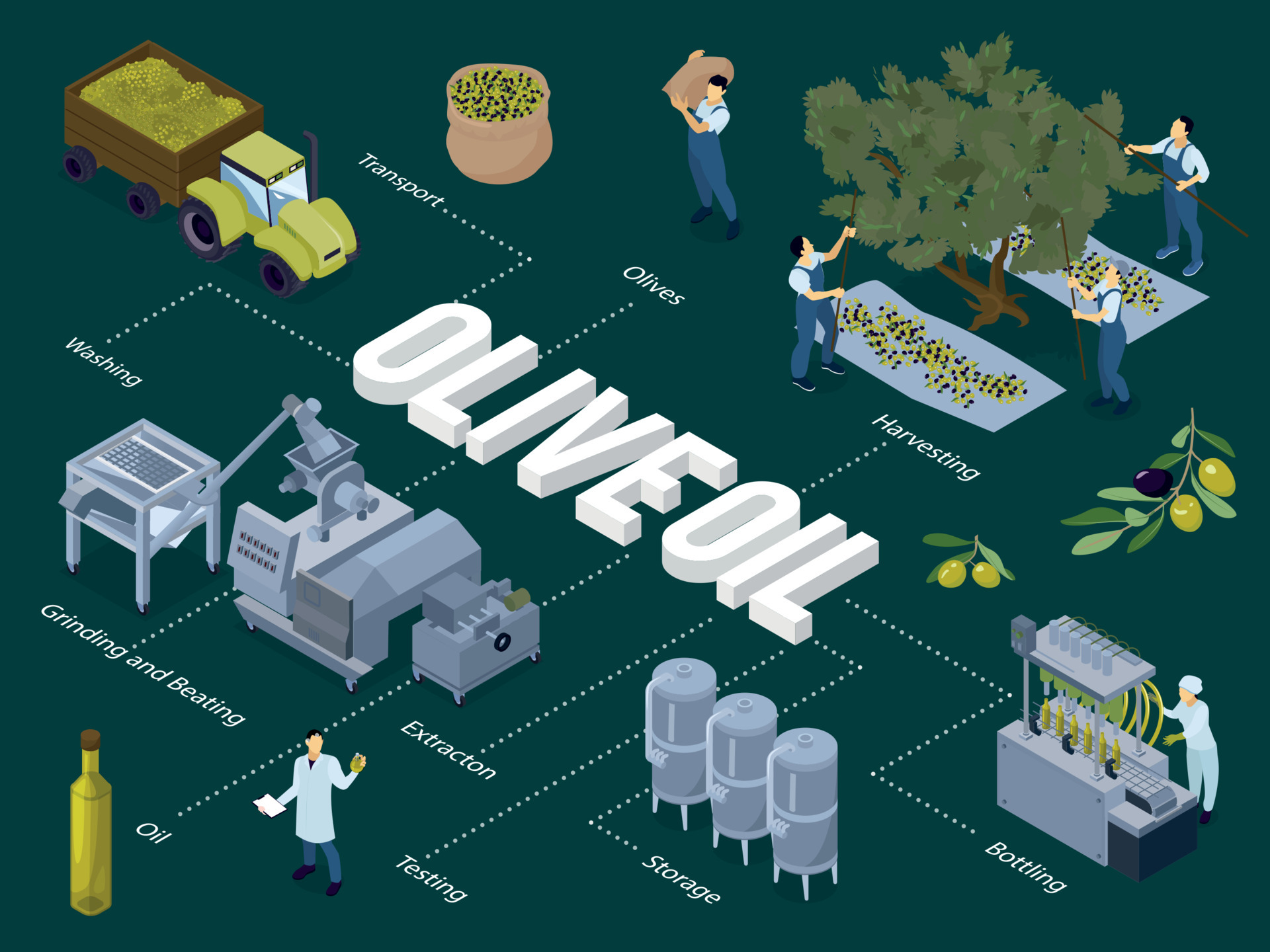 Olive Oil Production Flowchart 5878082 Vector Art at Vecteezy