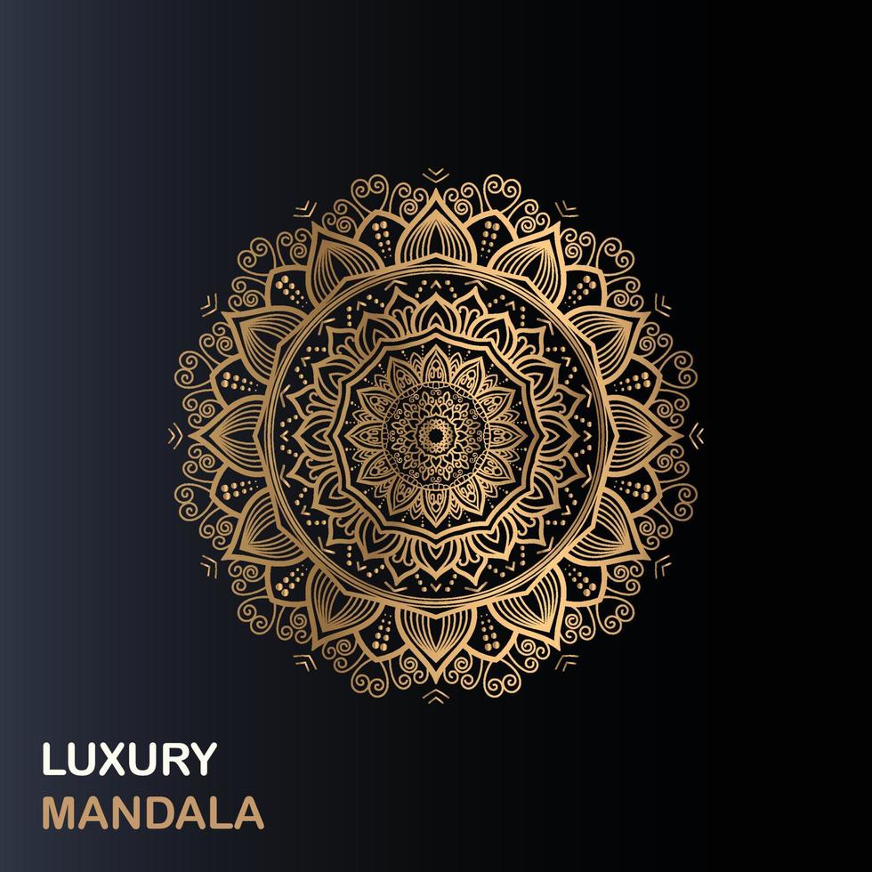 Luxury mandala design vector