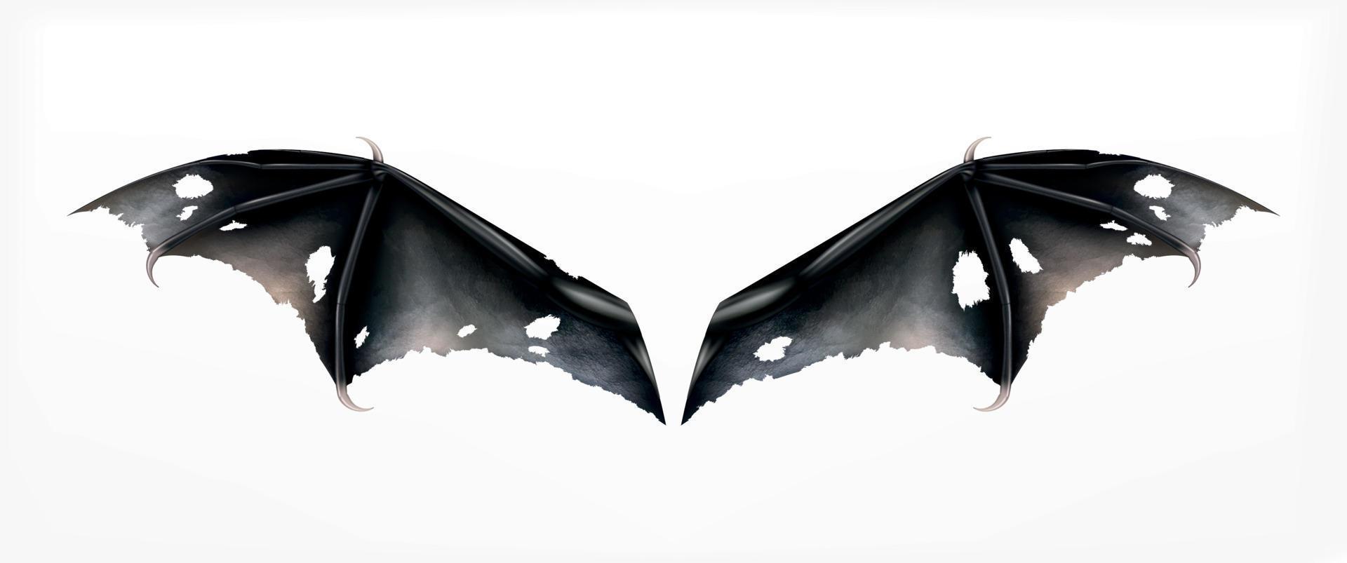 Holed Bat Wings Composition vector