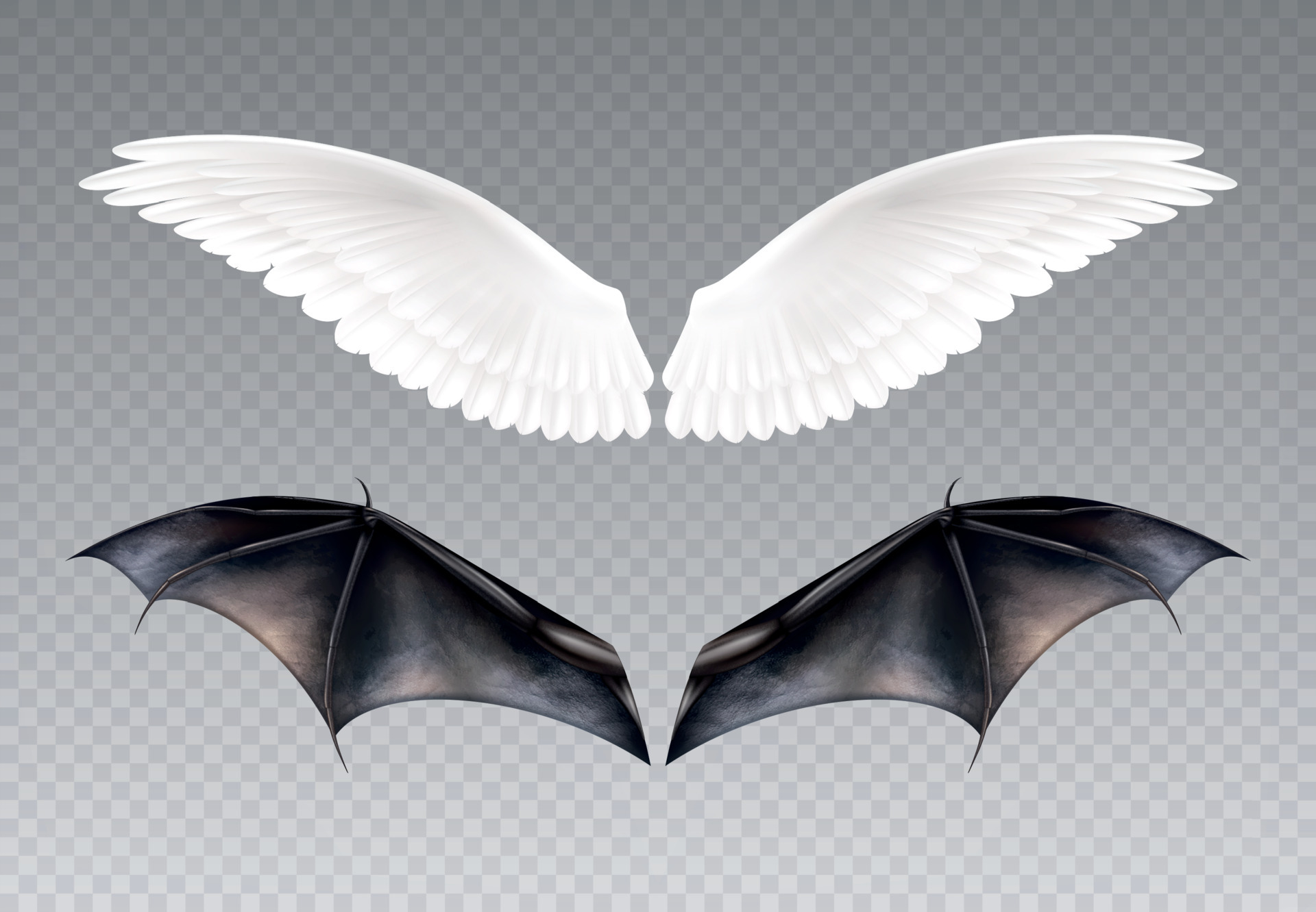Save wings. Крылья вампира. крылья демона без фона. wings devil. realistic birds.