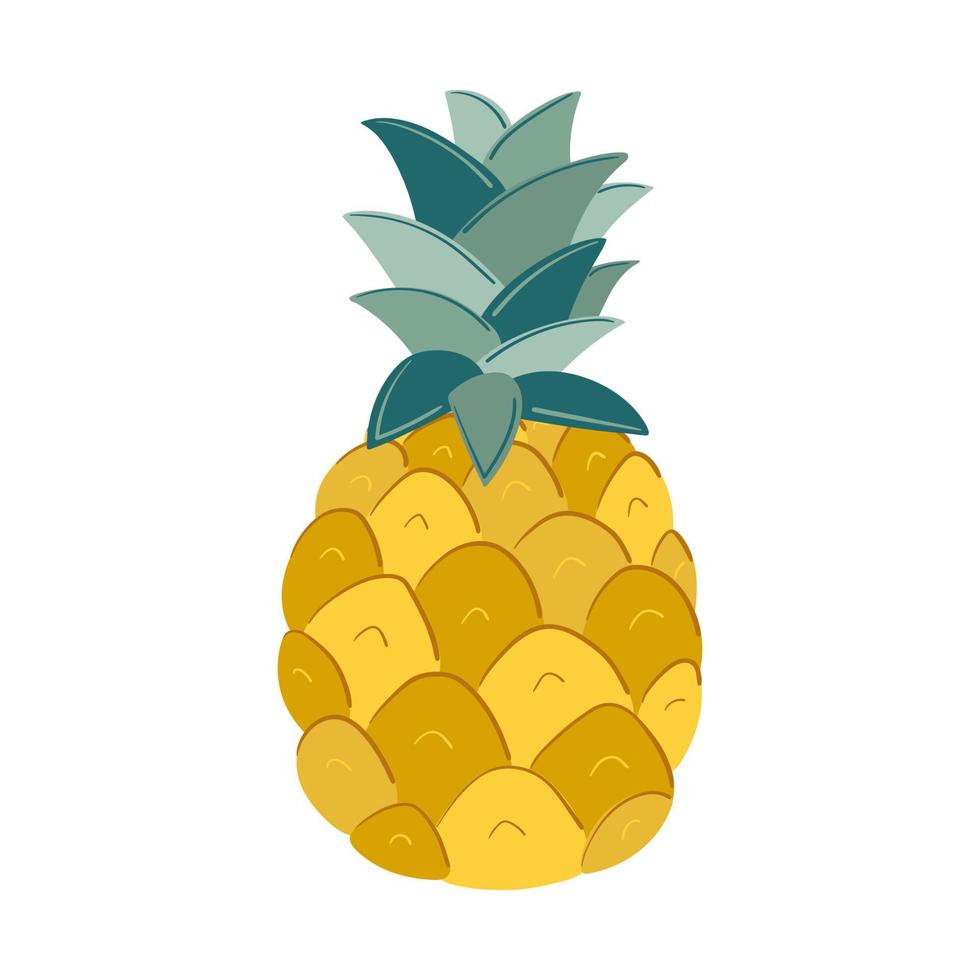 Hand drawn cartoon style pineapple vector