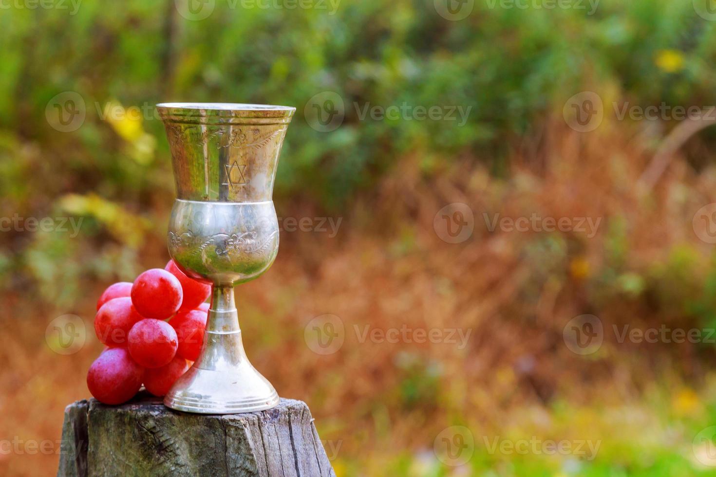 Glass of wine and grapes Jewish holidays photo