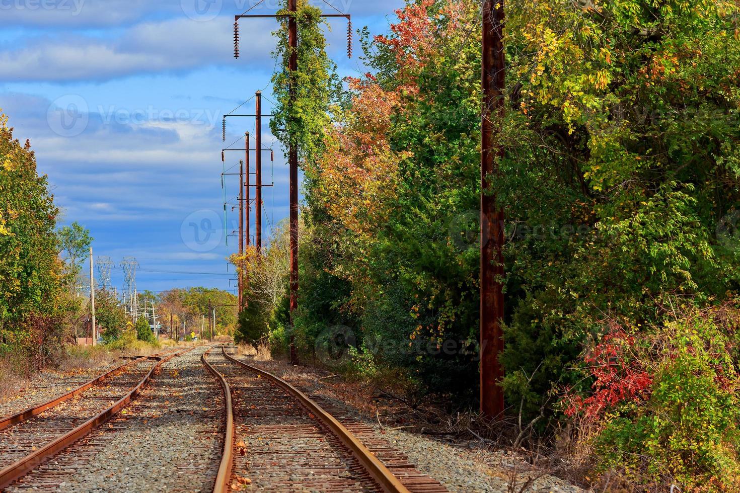 Railroad for trains bright sunny day in the midst of nature. photo