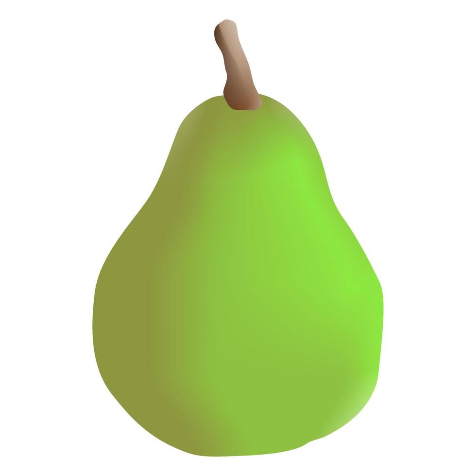 avocado isolated on white vector