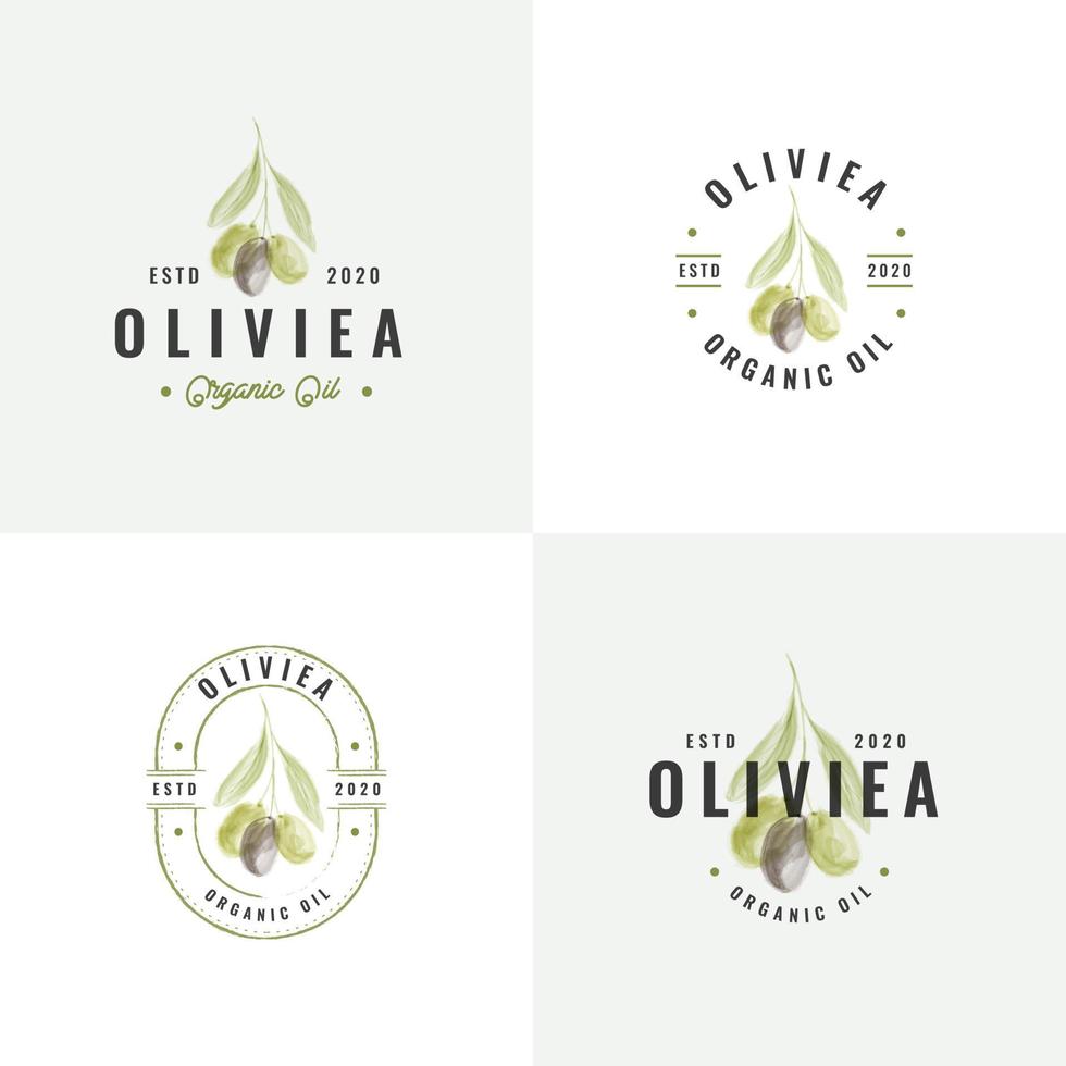 colección de logotipos de insignias vintage de oliva dibujadas a mano vector