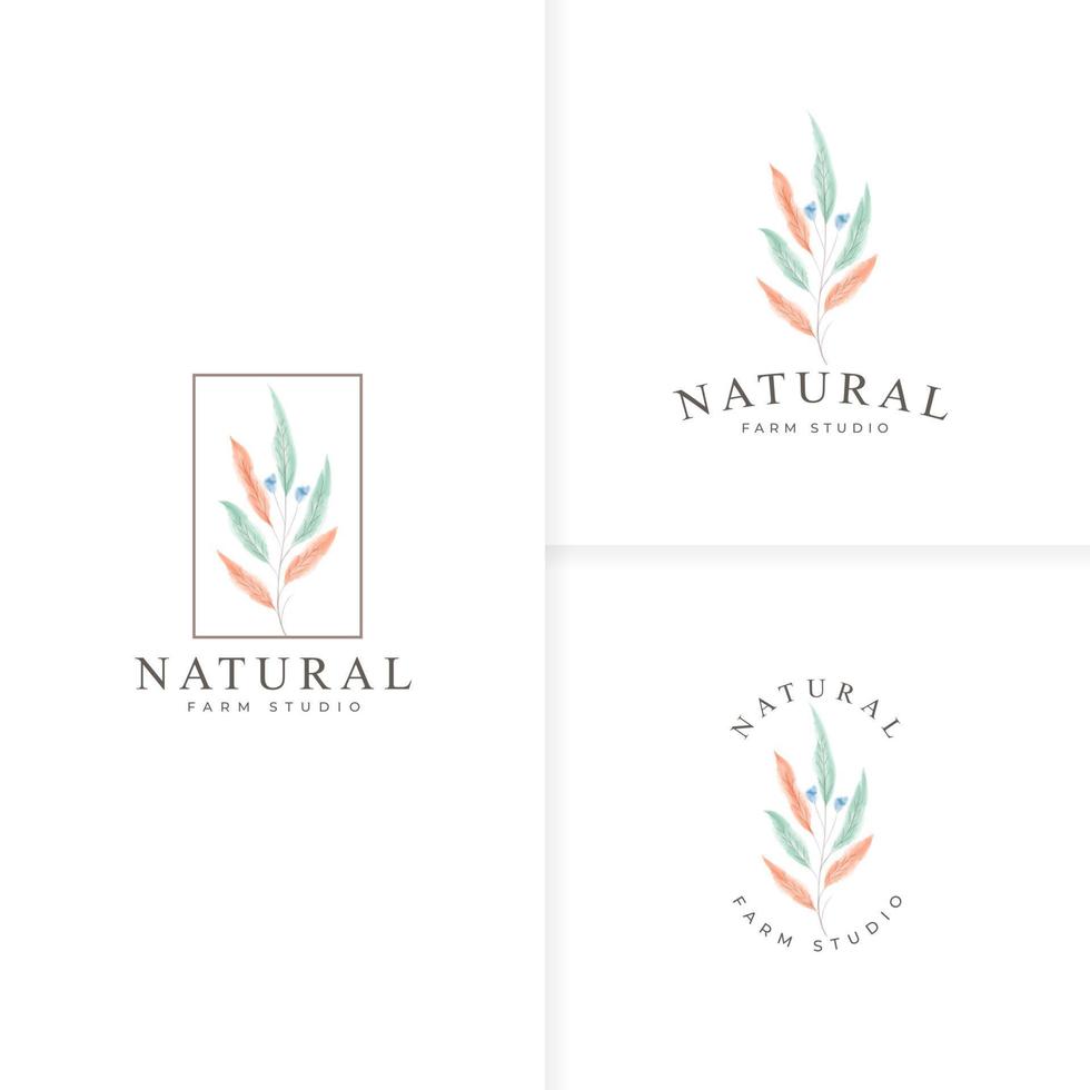 hermosa colección de logotipos botánicos dibujados a mano vector