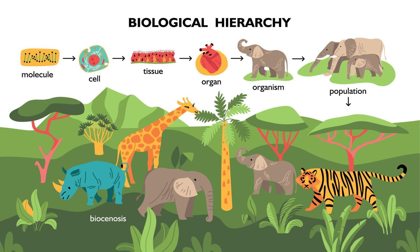 jerarquía biológica composición del paisaje vector