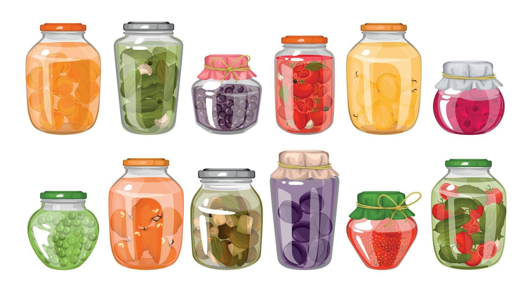 Homemade Canned Food Colored Set vector