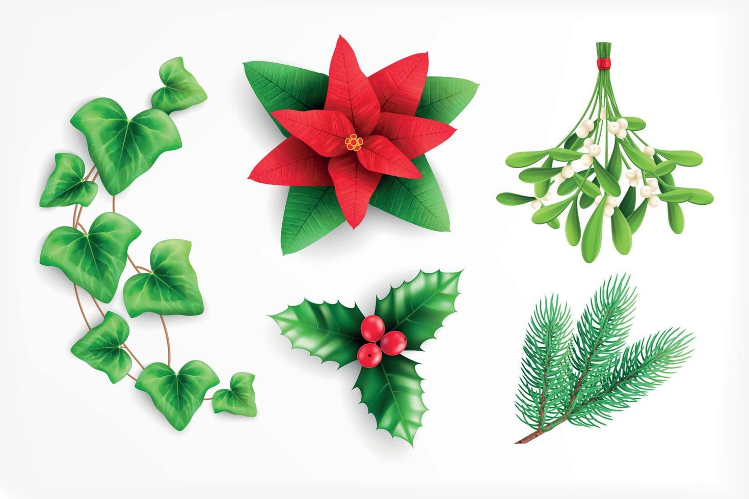 conjunto realista de plantas navideñas vector