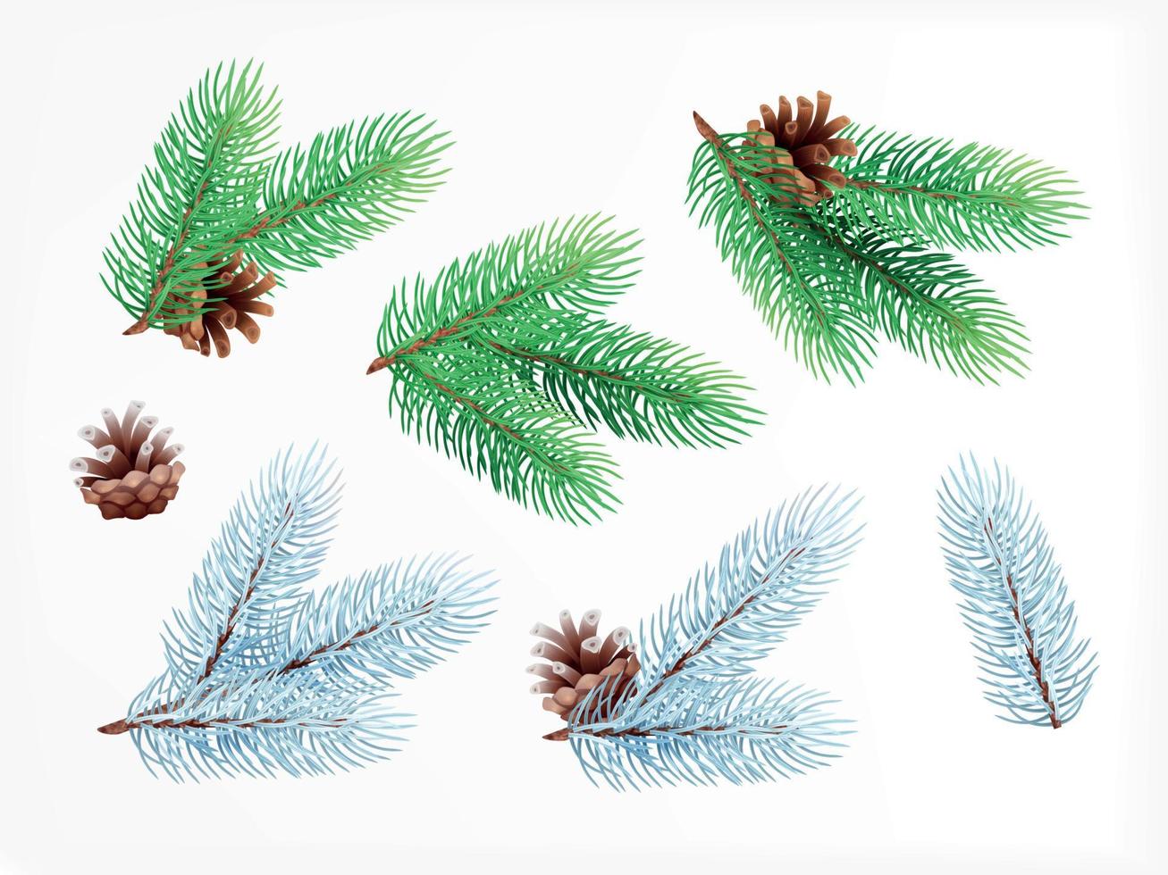 Christmas Fir Needle Composition vector