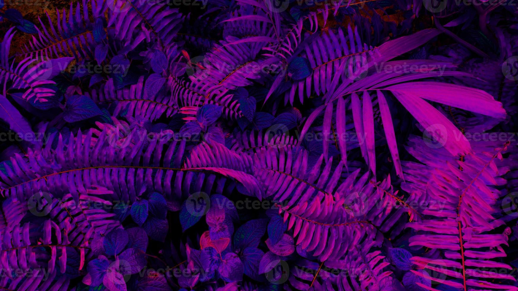 Tropical black light glowing leaves. photo