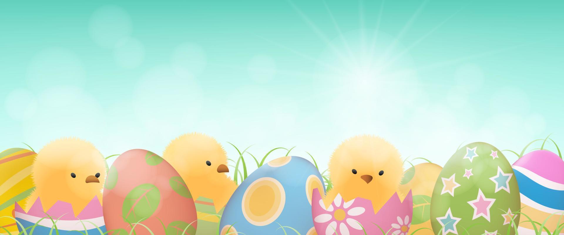 Easter eggs and chicks banner vector