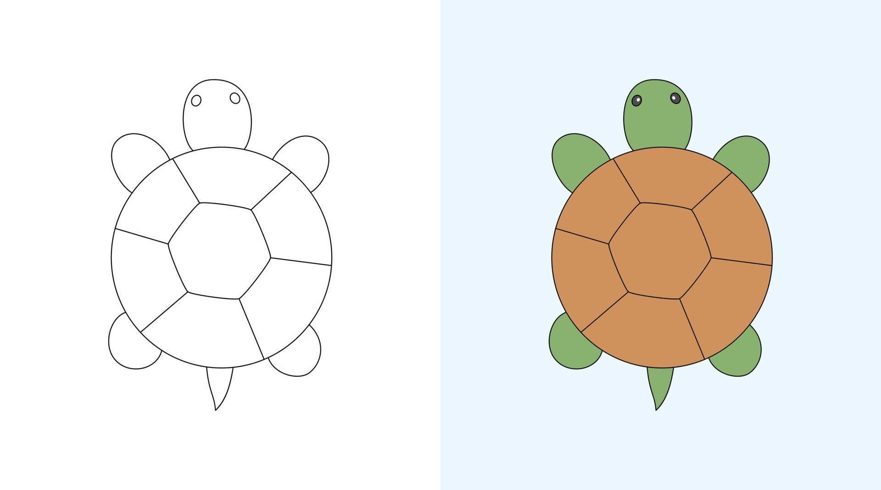 libro o página de coloración de tortugas, ilustración vectorial vector