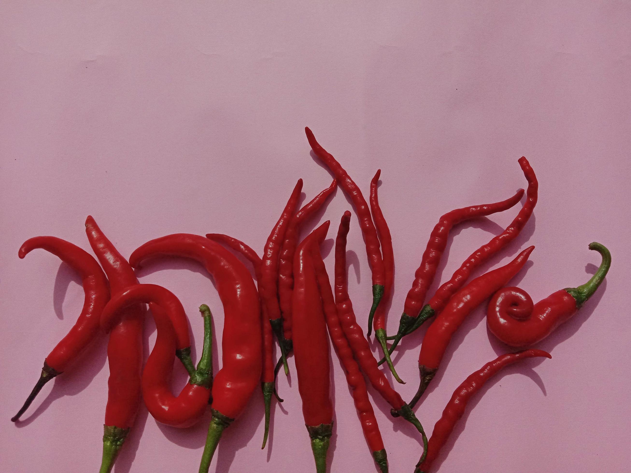 Big red chili and curly red chili. With pink background 5883754 Stock