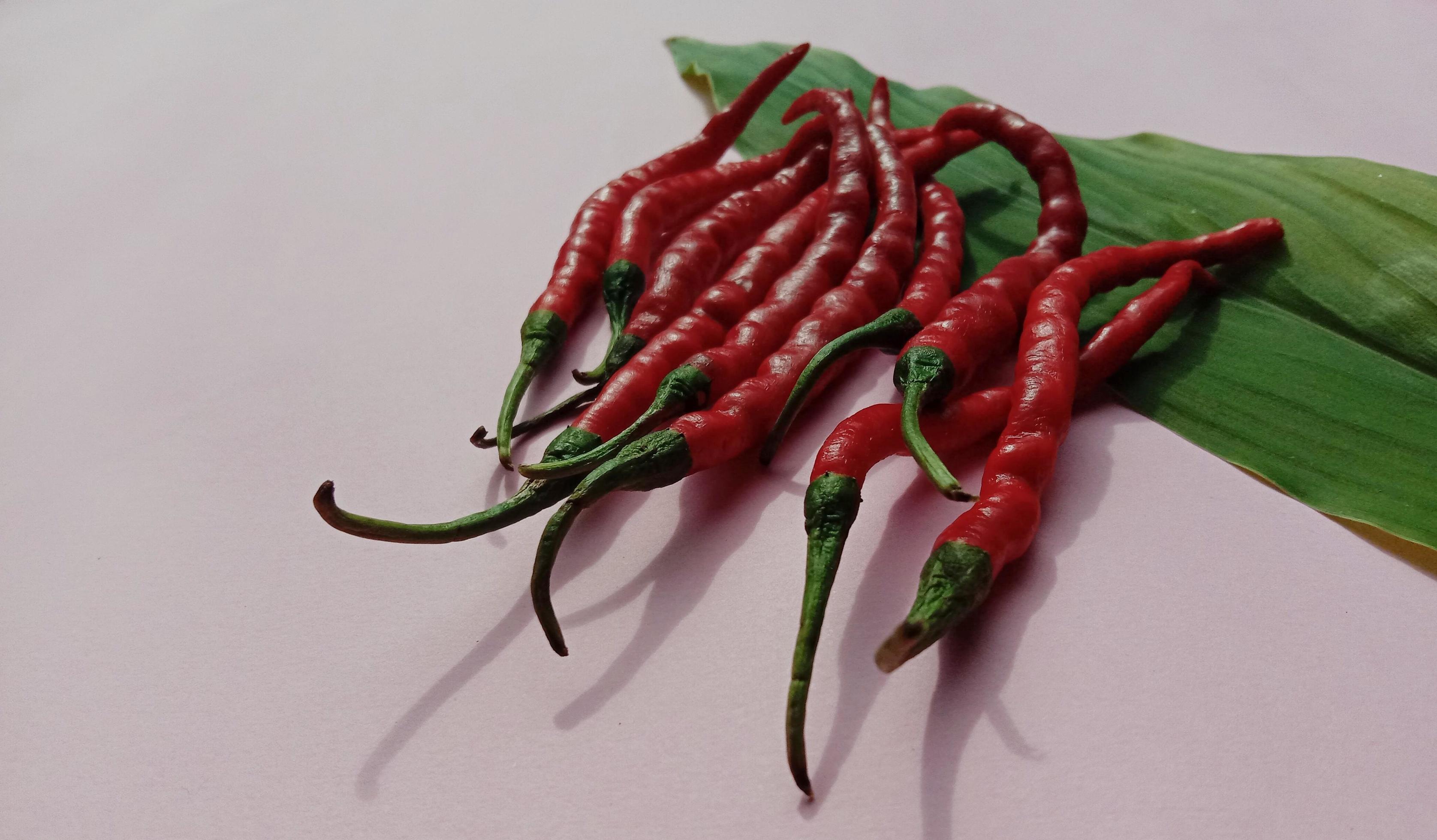 Big red chili and curly red chili. With pink background 5883761 Stock