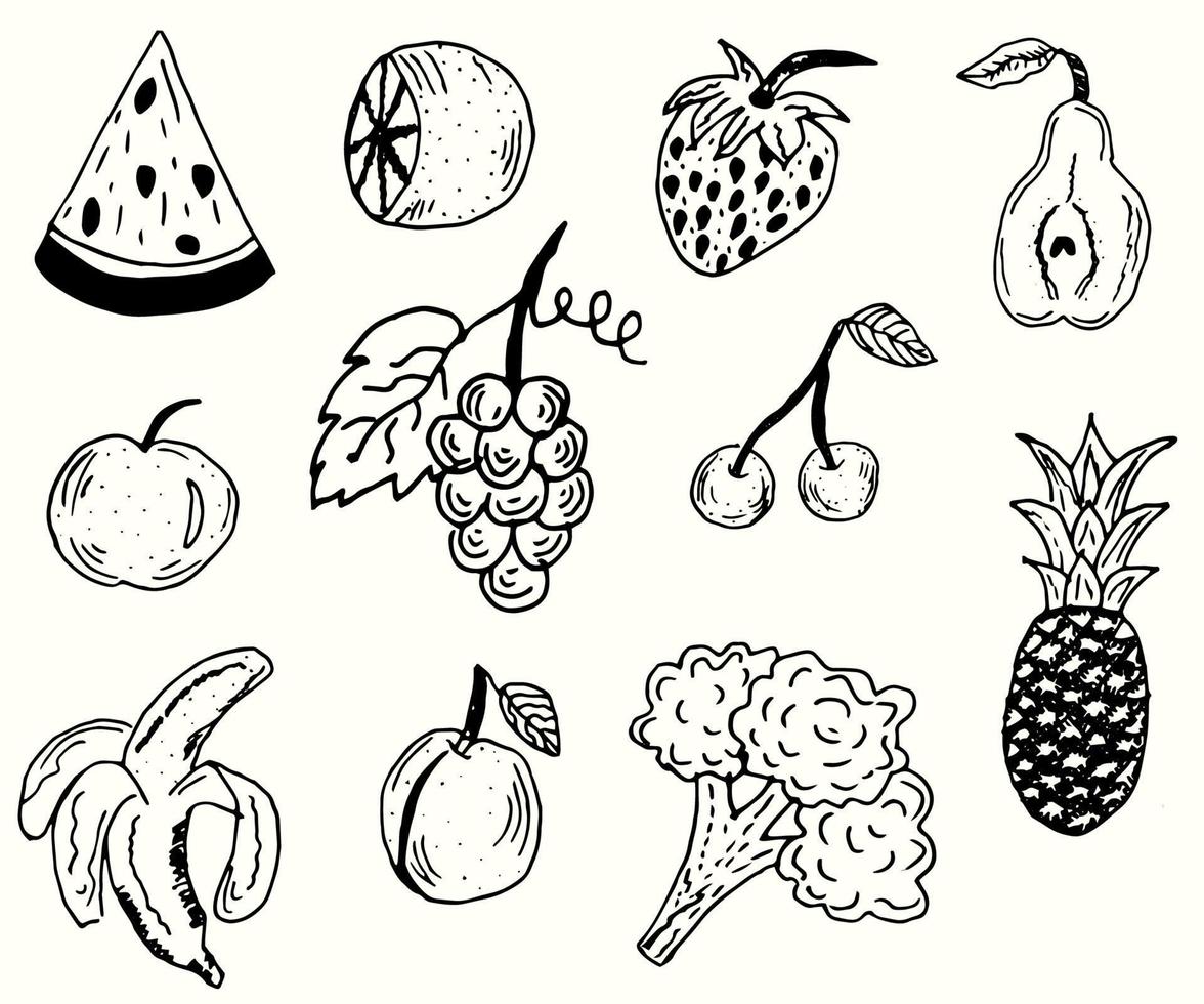 conjunto de frutas y verduras dibujadas a mano. ilustración de vector lineal en el mismo estilo. eps 10