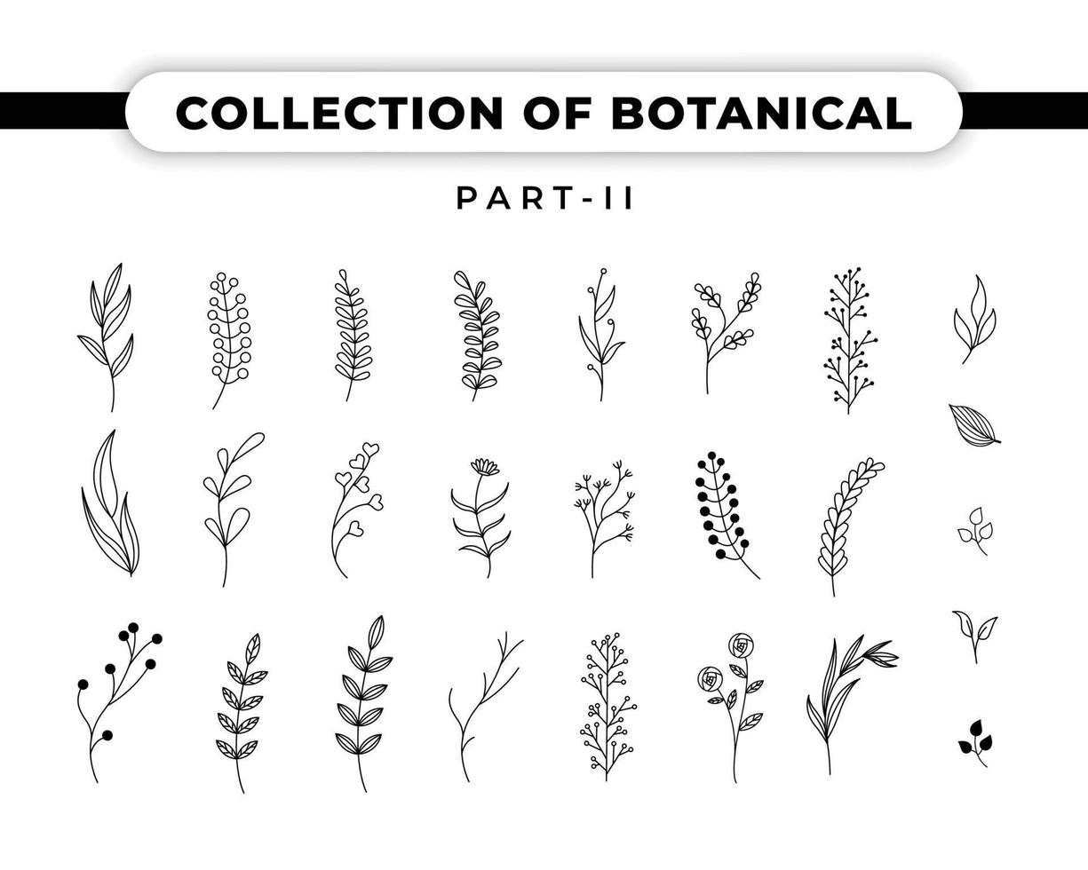 Vector collection of botanical illustration