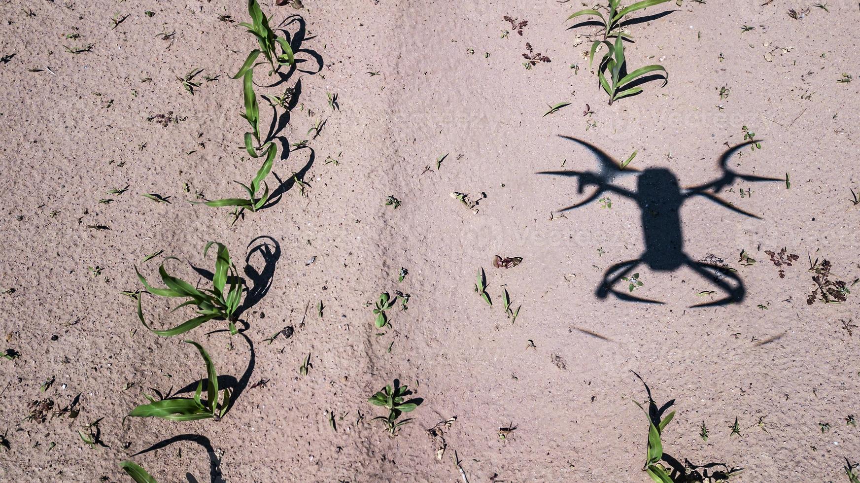 the shadow of a quadcopter on the field photo