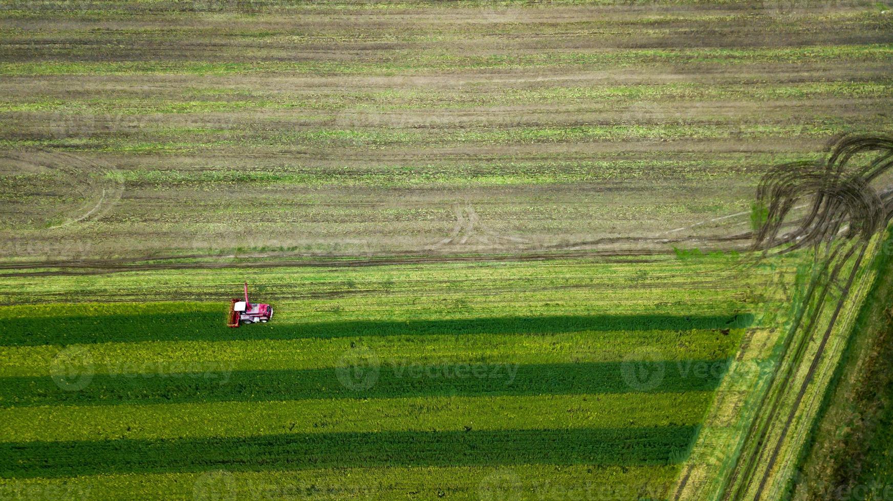 cosechadora roja en la fotografía aérea del campo agrícola foto
