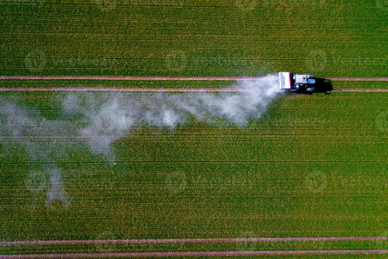 imagen aérea de un tractor rociando pesticidas en un campo de avena verde disparado desde un dron foto