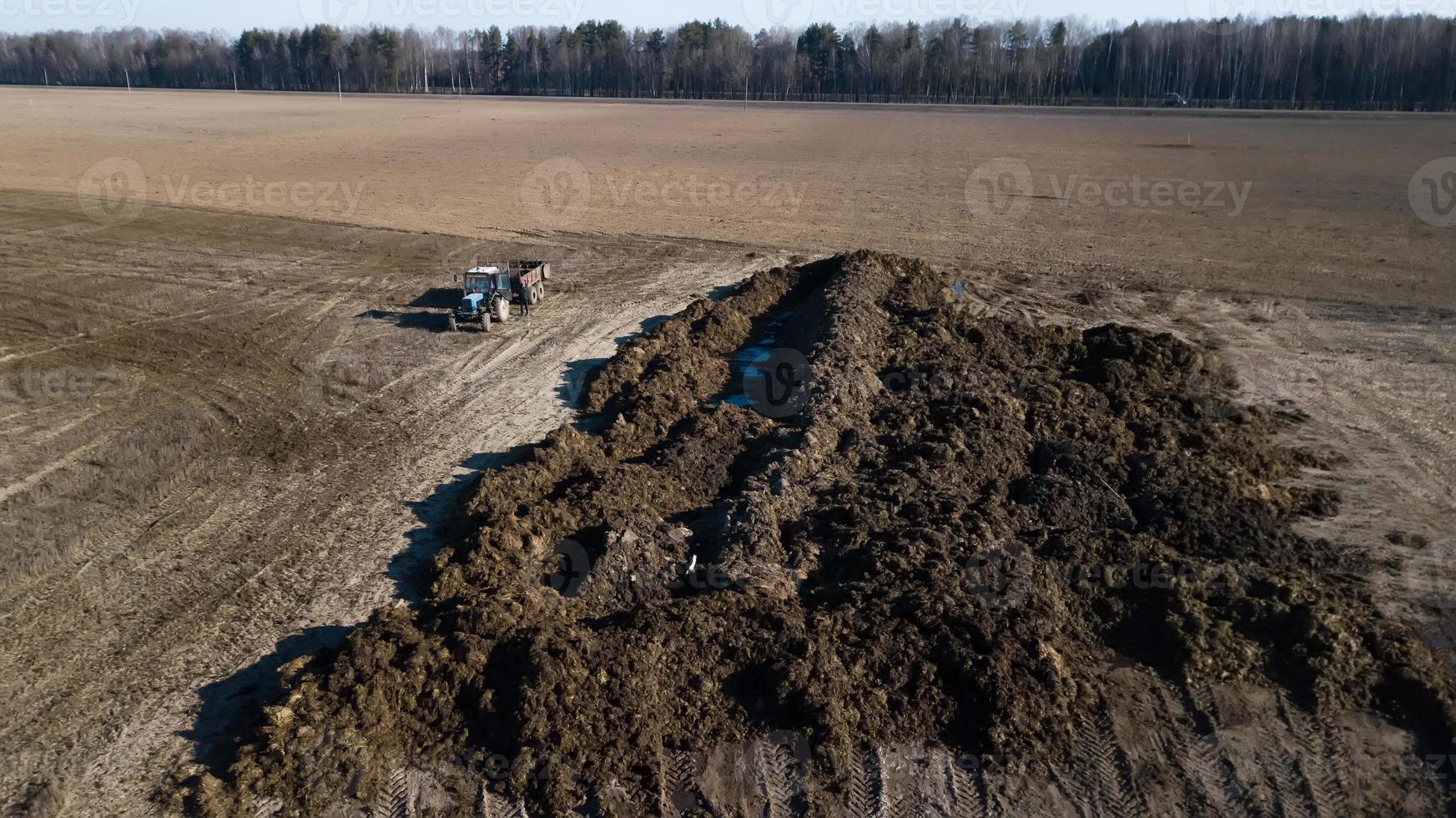 Manure pile on the field. Spring field work. Aerial survey photo