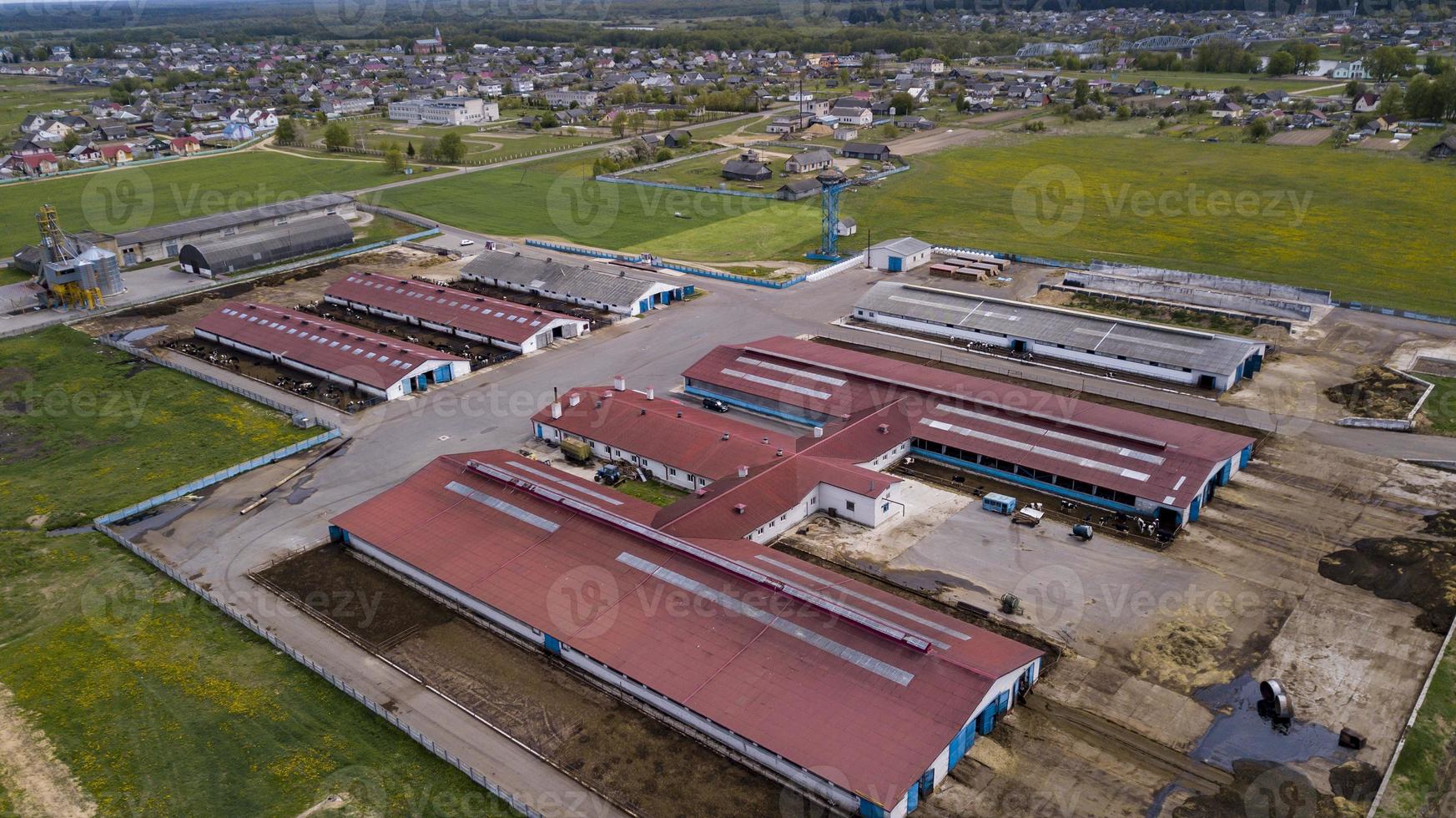 Large pig farm. Evening shooting. Aerial view photo