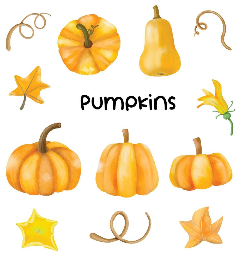 Green Pumpkins vines and leaves watercolor collection vector