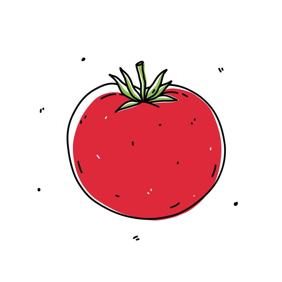 Red tomato isolated on white background. Organic healthy food. Vector hand-drawn illustration in doodle style. Perfect for cards, logo, decorations, recipes, various designs.