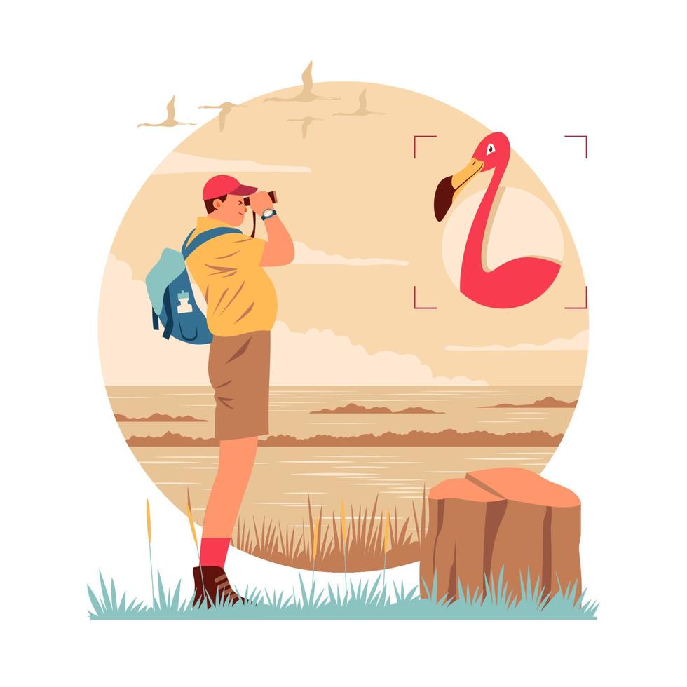 Bird Watcher at Swamp vector