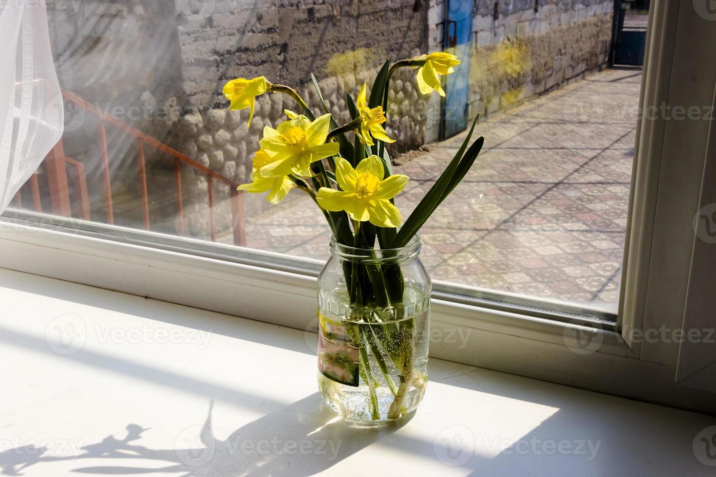 Yellow daffodil flowers in vase on the table photo