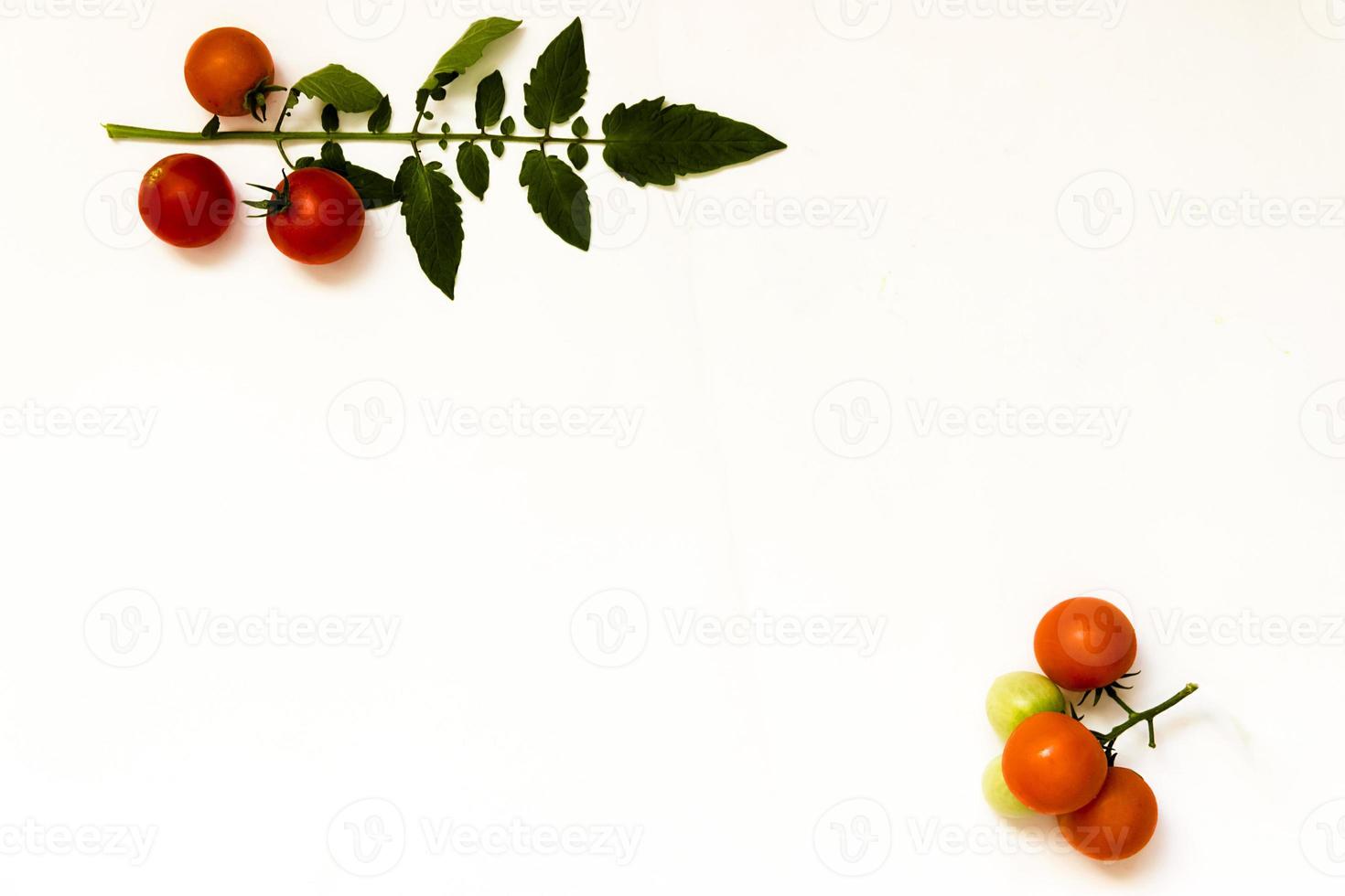 Ripe Fresh Cherry Tomatoes on Isolated on White Background photo