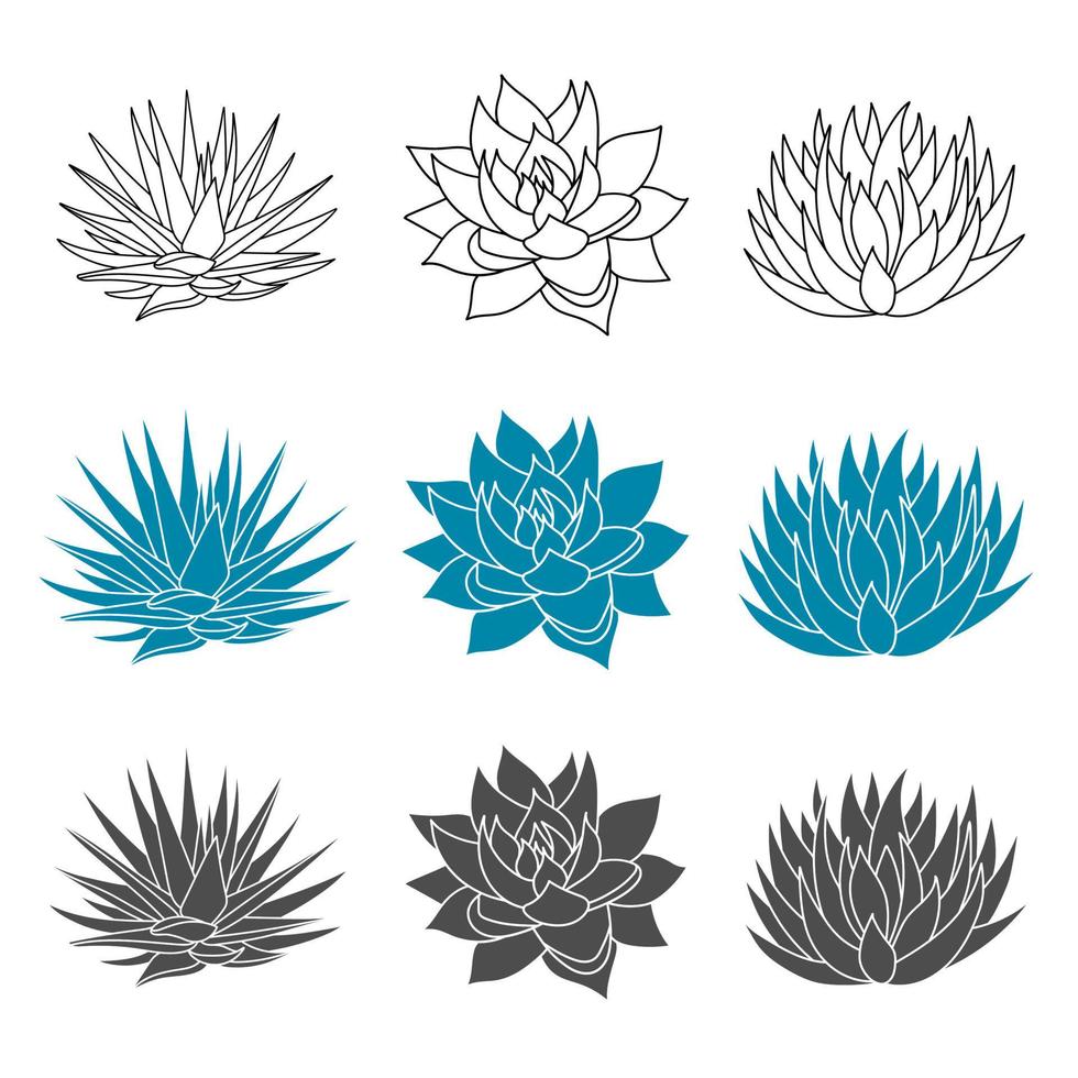 Agave blue set plant in flat style. Vector illustration isolated on white background. Agave syrup for making tequila. Mexican silhouette succulent hand drawn.