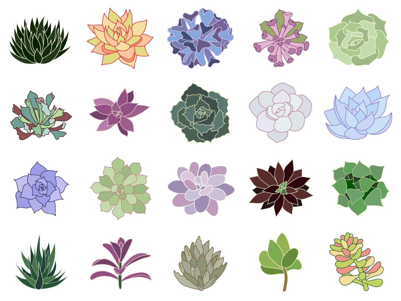 Echeveria suculenta y juego de vectores de cactus. ilustración de flores del desierto dibujada a mano en estilo plano y garabato. colección de plantas de interior para impresión y diseño. elementos aislados sobre un fondo blanco