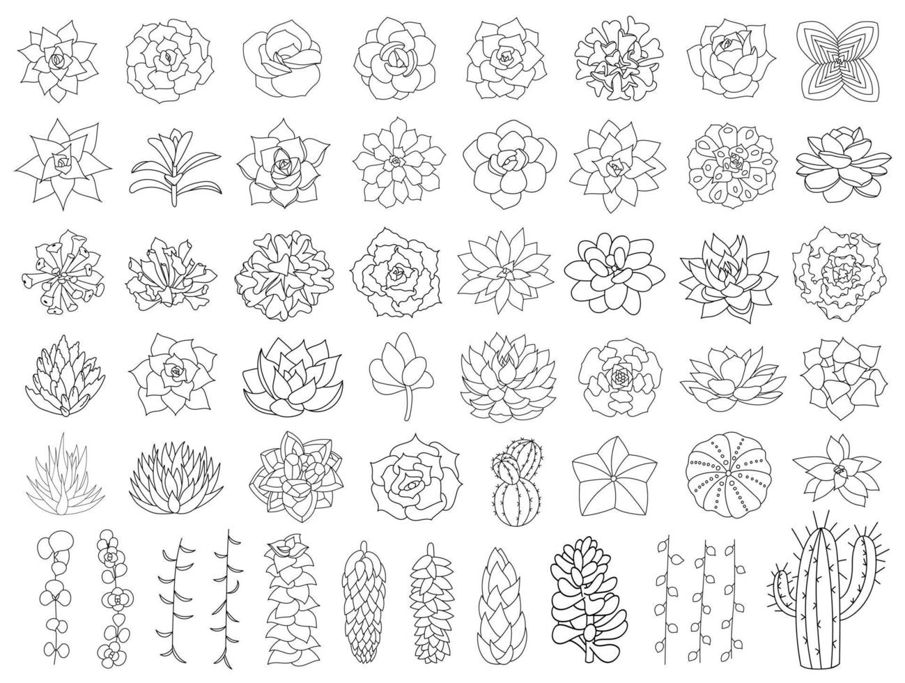 Succulent and cacti vector set. Hand drawn desert flower illustration in doodle style. Set plants with black outline. Silhouette succulents on a white background. Echeveria, aloe and cactus